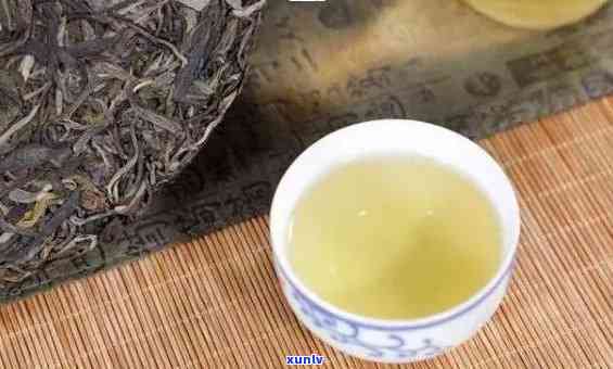 金芽普洱茶多少钱一饼