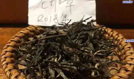 掌握老班章普洱茶真伪鉴别技巧，品鉴高品质茶叶的秘诀