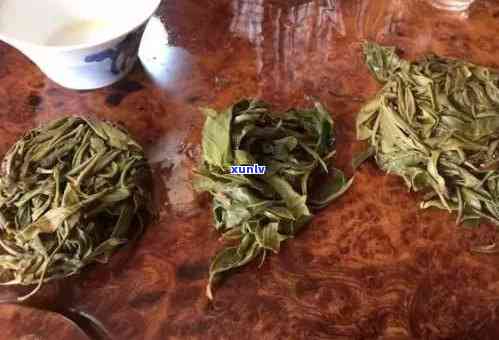 老班章茶的后期转化特点解析：从叶到优质茶叶的过程与影响因素