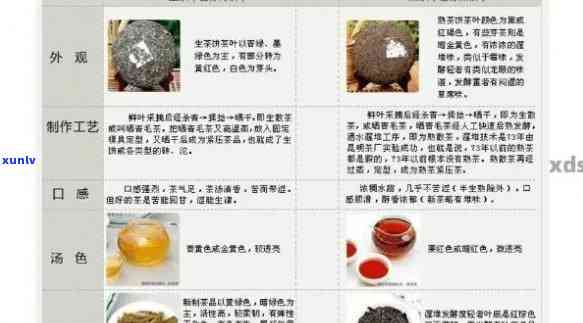 普洱茶原料分级大揭秘：一级料到九级料的差异与品质划分