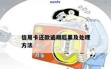 信用卡短期逾期被拒：原因、解决策略及预防措，让信用恢复不再难