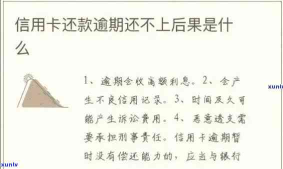 信用卡短期逾期被拒：原因、解决策略及预防措，让信用恢复不再难