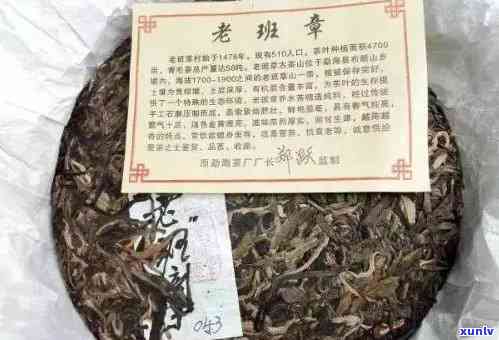 老班章茶：云南普洱茶的领导者，勐海茶叶厂家直供