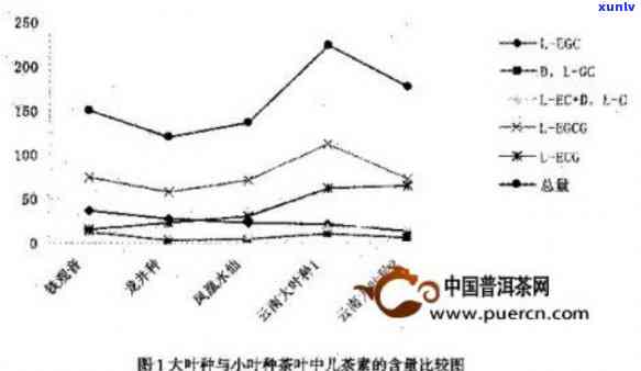 老班章茶的微量元素分析及其对健的影响