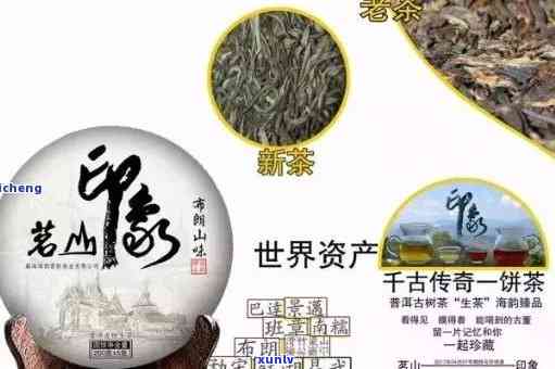 云川：班章普洱茶的传承者与创新者