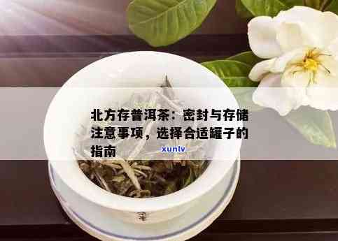 北方普洱茶的长期保存策略：实用指南与 *** 