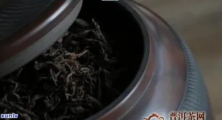 普洱茶保存：北方使用哪种罐子？解答所有疑问