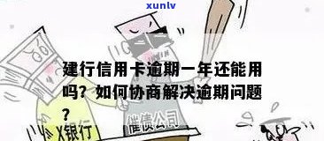 建设银行信用卡逾期解决方案：详细步骤与模板指导