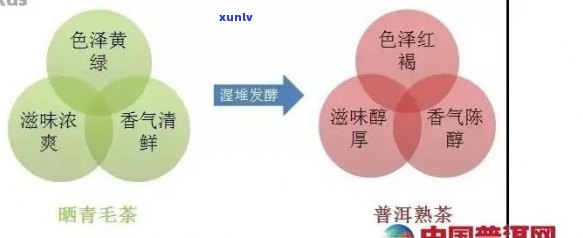 普洱茶与石化原料的关系：探究价格形成及其它潜在影响因素