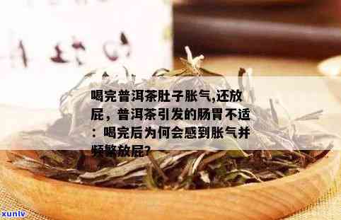 老班章普洱茶引发的肠胃不适：一场意外的拉肚子体验