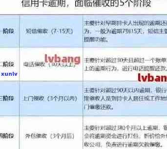 '信用卡逾期申诉全攻略：解决异议、避免信用损失'