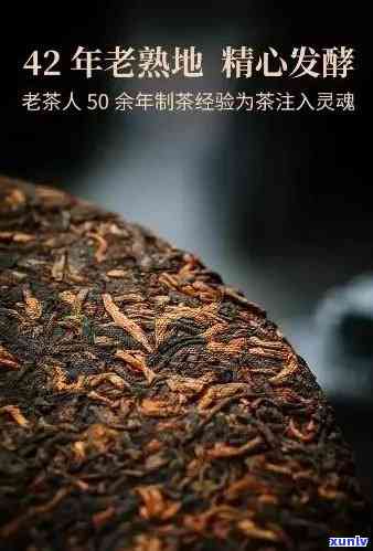 基料大量使用老班章：纯料熟茶的典藏之道