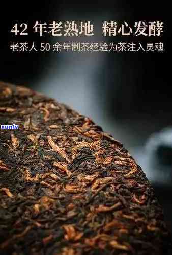 老班章熟茶的醇厚口感与独特韵味解析