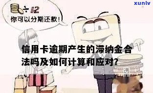 信用卡还款逾期天数计算及宽限期全面解析：错过宽限期会产生多少滞纳金？