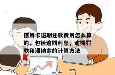 如何计算信用卡逾期费用？了解逾期天数、罚息和滞纳金等关键因素