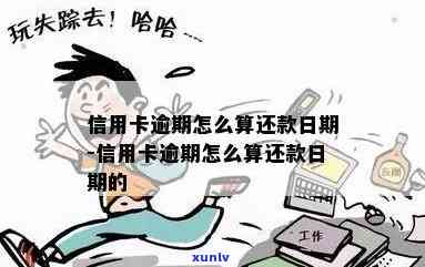 怎么算信用卡逾期还款