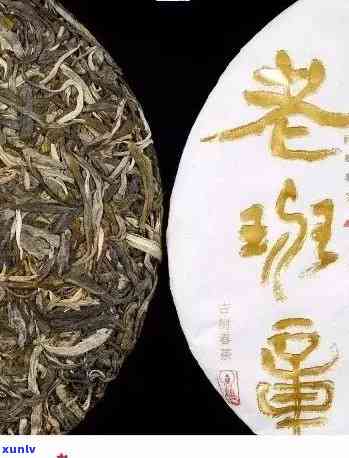 新揭秘雨林古树茶老班章造假现象，如何分辨真伪？