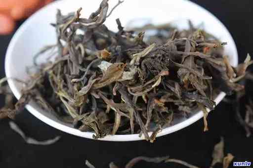 老班章古树普洱茶：口感特点解析与生茶对比