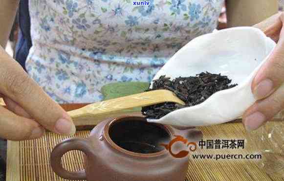 普洱茶冲泡的精确量：一次合适的投茶克数是多少？