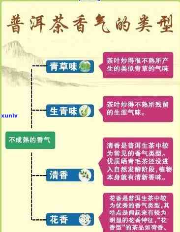 寻找无苦味的普洱茶区：全面指南和推荐