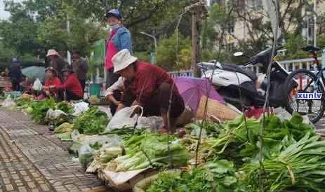 普洱市思区综合性农产品批发交易中心：一站式采购平台