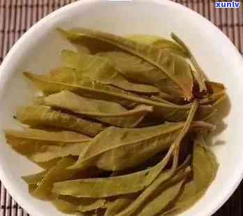 探索老班章生茶的全面功效与作用：解密其健益处、口感特点及泡茶技巧