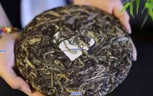 易武茶与老班章普洱茶：口感对比，哪个更胜一筹？