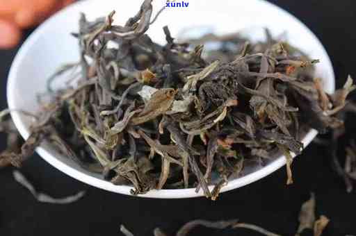 探索老班章普洱茶的多种品种与分类：一份详尽的茶叶百科