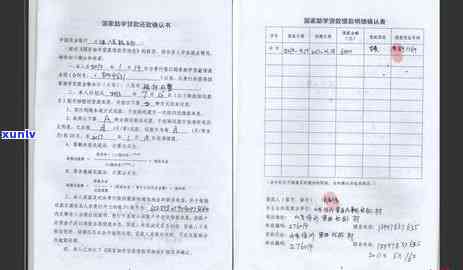 湖北地区信用卡逾期处理策略与影响分析