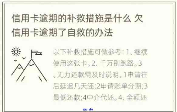 信用卡逾期还款折扣攻略：真实经历教你如何避免罚款并成功还清债务