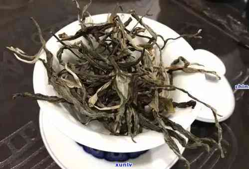 班章茶与南糯山茶的对比：哪个更适合您的口味？