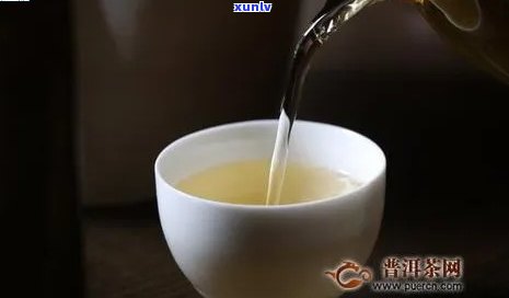 探究老班章白茶：一款独特的普洱茶之选