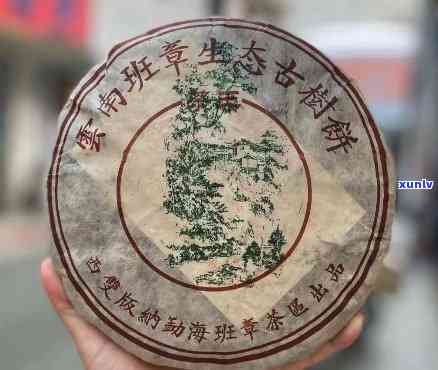 2005年老班章古树茶：班章茶区的独特风味与收藏价值