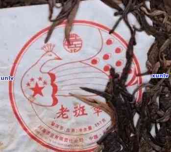 勐海群茶厂老班章：云南普洱茶的传承与创新