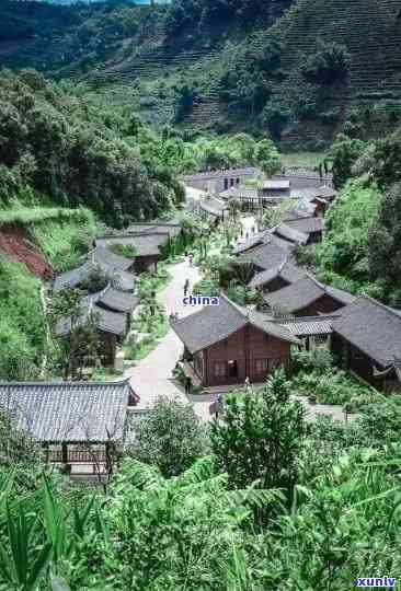 探秘云南老班章茶山景区：章村古茶文化之旅