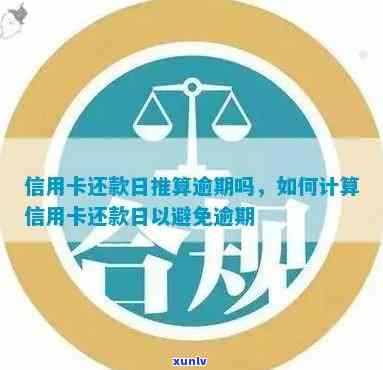 2021年的信用卡逾期案例：新标准下的立案情况与影响