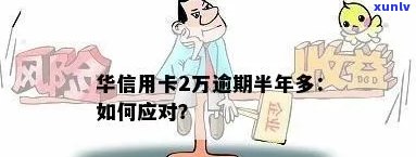 华信用卡逾期21期