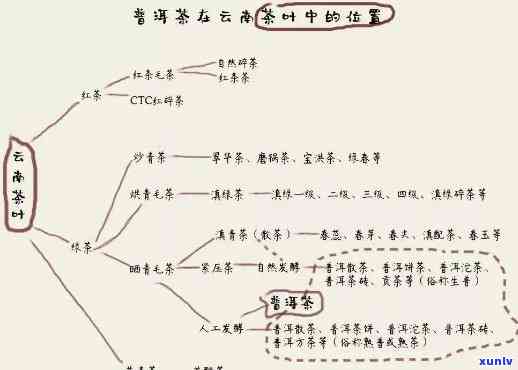 老班章普洱茶的归属与详解：一篇全面的百科全书式探讨