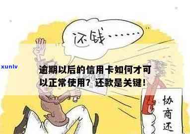 逾期以后的信用卡如何才可以正常使用？逾期还款攻略！