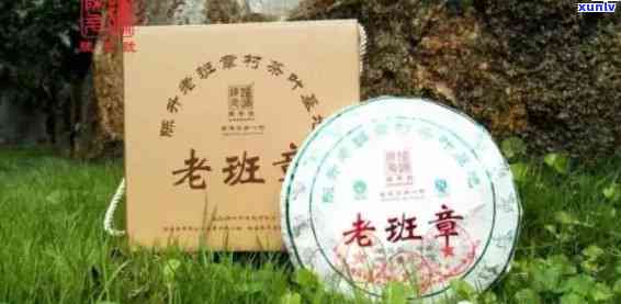 陈升号老班章茶叶：纯料 *** 还是添加其他成分？详解茶叶品质与来源