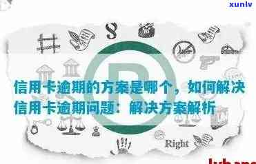 信用卡逾期600的应对策略：详细步骤与有效解决方案