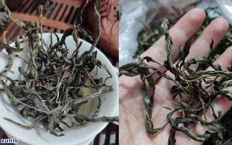 普洱茶泡法：茶水分离、过滤与弄碎需知，为什么？