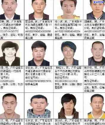 信用卡欠款与通缉犯人员名单：全面解析、影响与解决方案