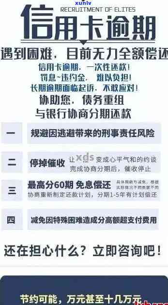 如何查询信用卡逾期记录：详细步骤与注意事项，解决用户可能遇到的各种问题