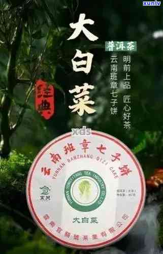 京东班章大白菜茶：独特风味与实价格的完美结合