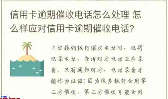 010 *** 说信用卡逾期怎么办：关于逾期处理与办理的详细指南