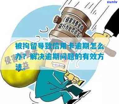 逾期信用卡还款全攻略：如何应对拘留导致的信用卡逾期问题？