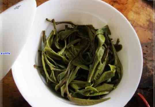 老班章古树茶：600年的历沉淀，纯粹的味道体验