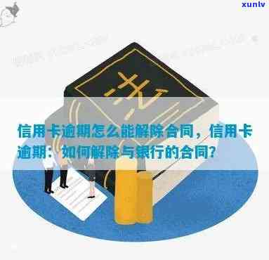 信用卡逾期后，银行是否可以止合同？如何处理信用卡逾期问题以避免撤销？