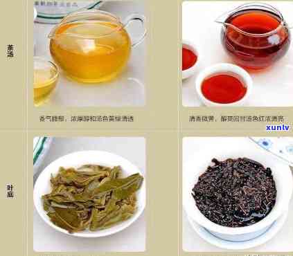 探究普洱茶的茶叶分类：它究竟属于黑茶还是红茶？